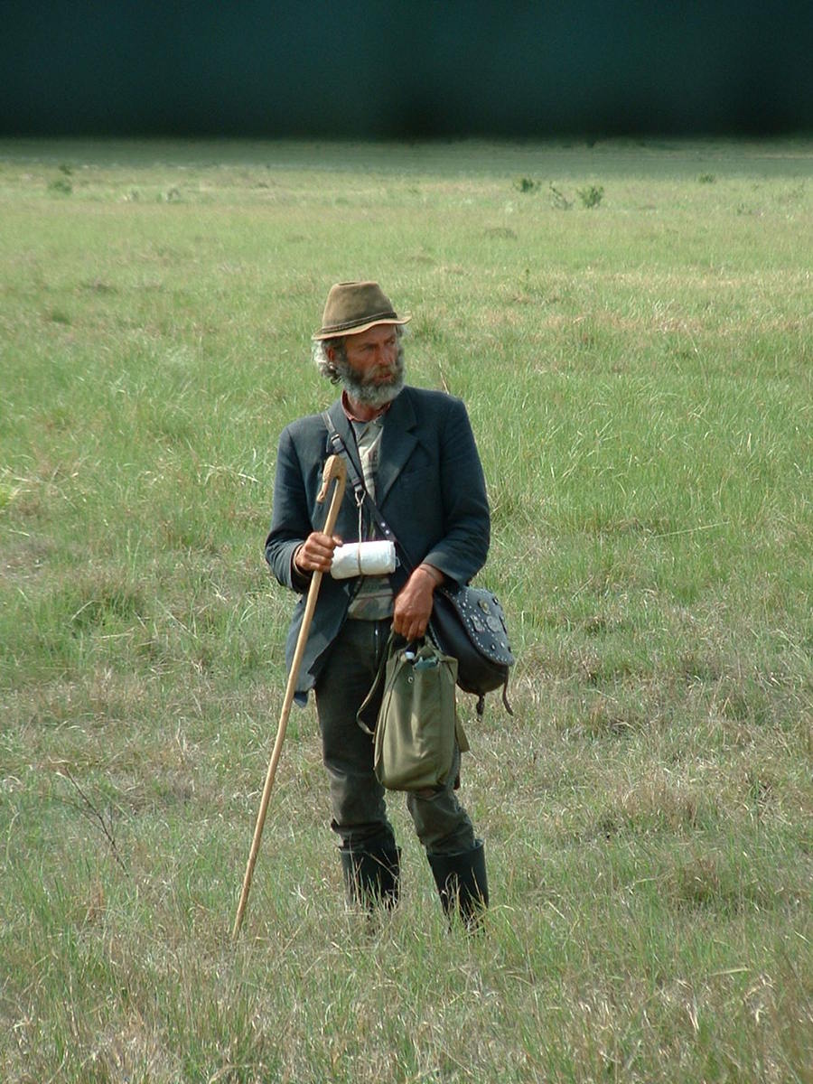 Shepherd Commoner Leaders: Shepherds or Thieves? | Pastor Partridge